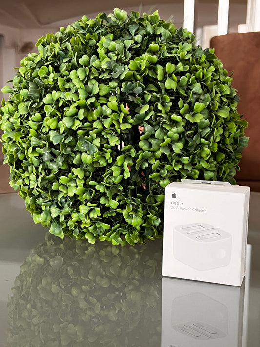 Apple iphone USB-C POWER ADAPTER